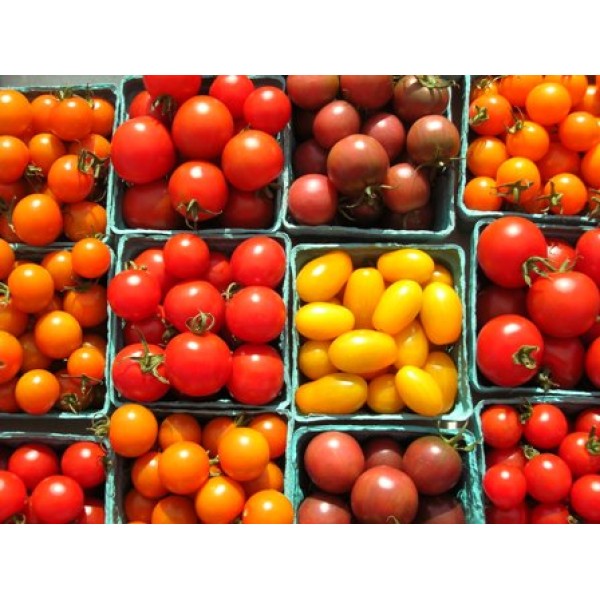 Cherry Tomatoes Cherry Tomatoes