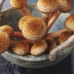 Chestnut Mushroom System