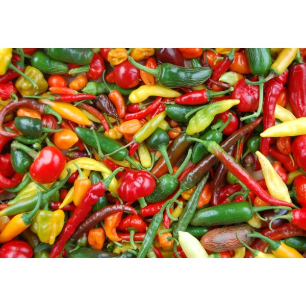 Mild Peppers