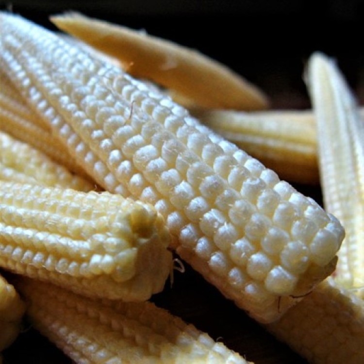 Chires Baby Sweetcorn