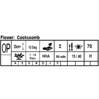 Seedling Cockscomb Flower Seedling Cockscomb Flower