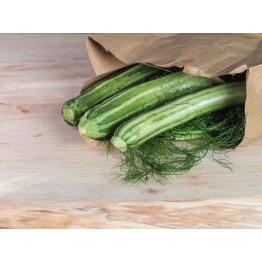 Costata Romanesco Zucchini