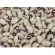 Cowpeas