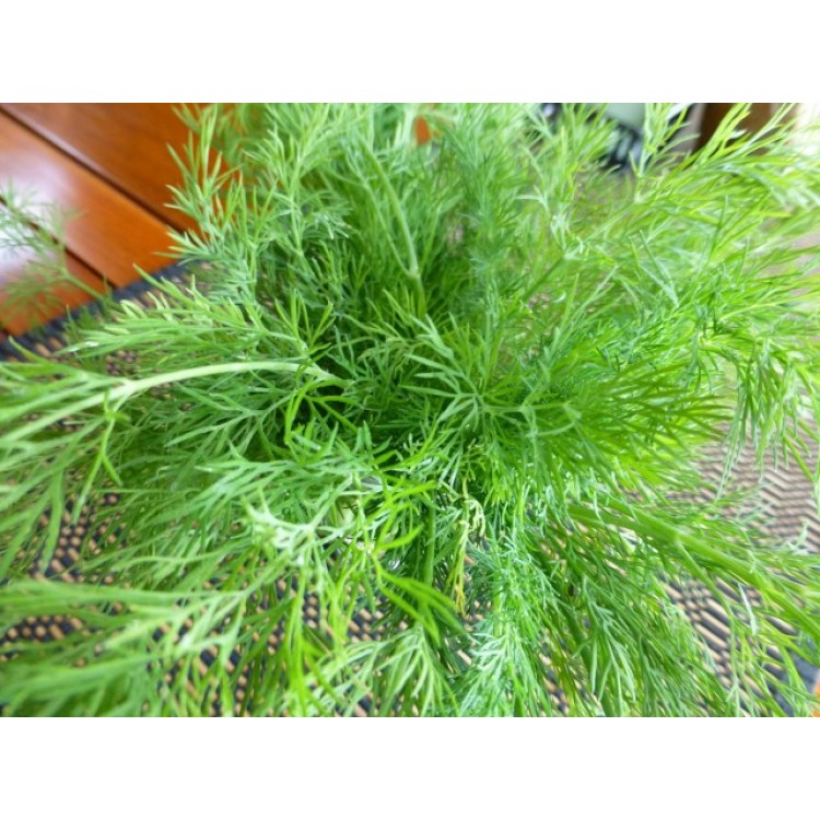 Dill Bouquet