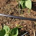 Drip Irrigation Kit (60m)