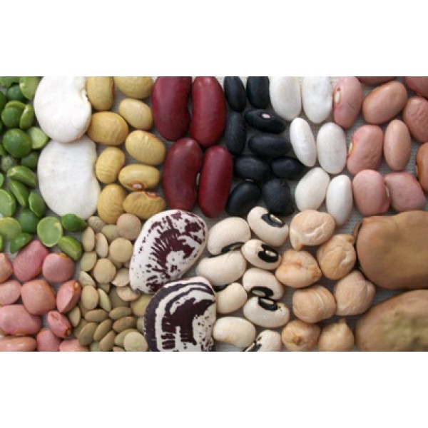 Dry Beans Dry Beans