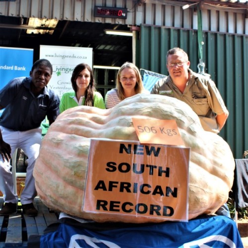 Giant Pumpkin Growing Kit