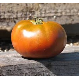 Grandma's Chocolate Dwarf Tomato