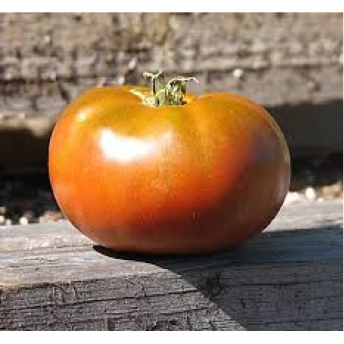 Grandma's Chocolate Dwarf Tomato