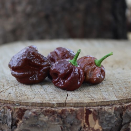 Habanero Chocolate