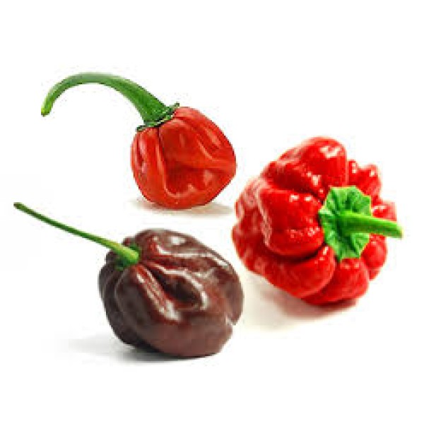 Super Hot Peppers Super Hot Peppers