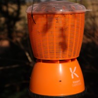 iCatchi 250ml Fly Trap & Bait