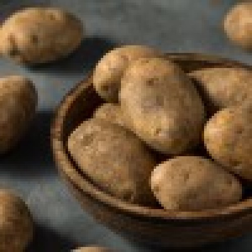 Innovator Seed Potatoes