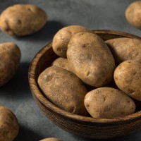 Innovator Seed Potatoes