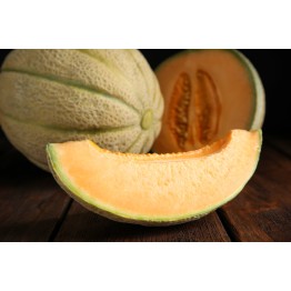 Iroquois Melon