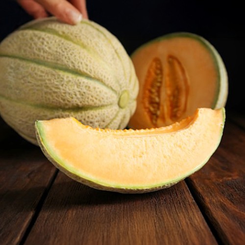 Iroquois Melon