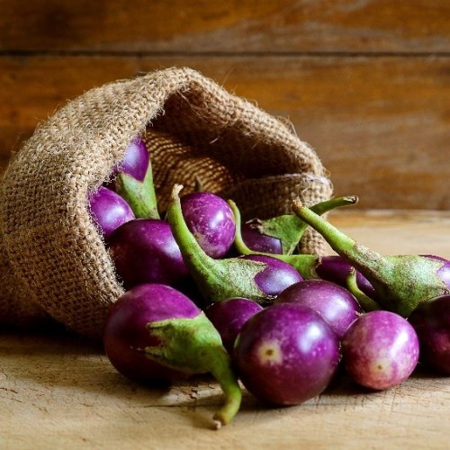 Mini Purple Brinjal