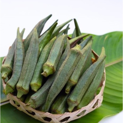 Nkruma Tenten Okra