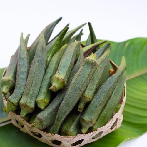 Nkruma Tenten Okra 