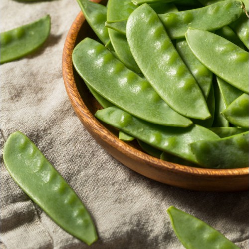 Oregon Giant Peas