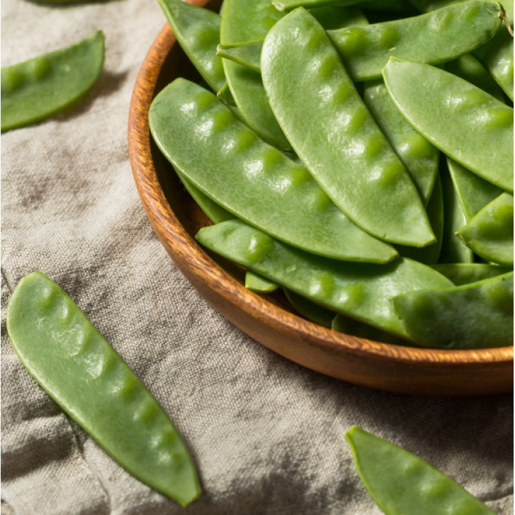 Oregon Giant Peas