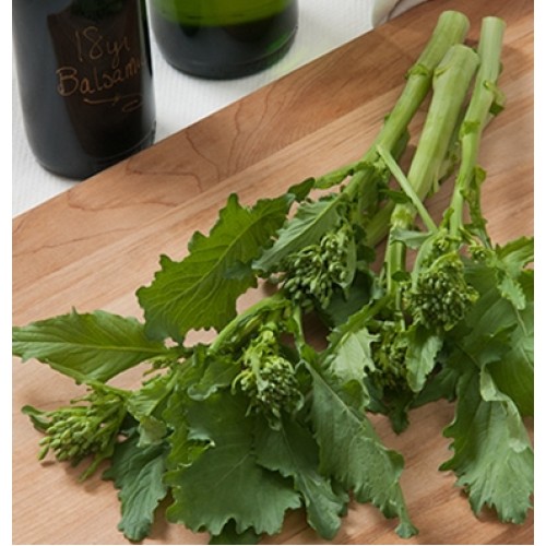 Spring Rapini Broccoli