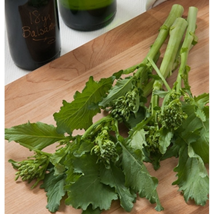 Spring Rapini Broccoli