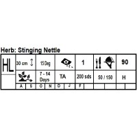Seedling Stinging Nettle Herb Seedling Stinging Nettle Herb