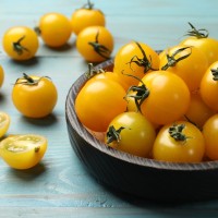 Sungold Select