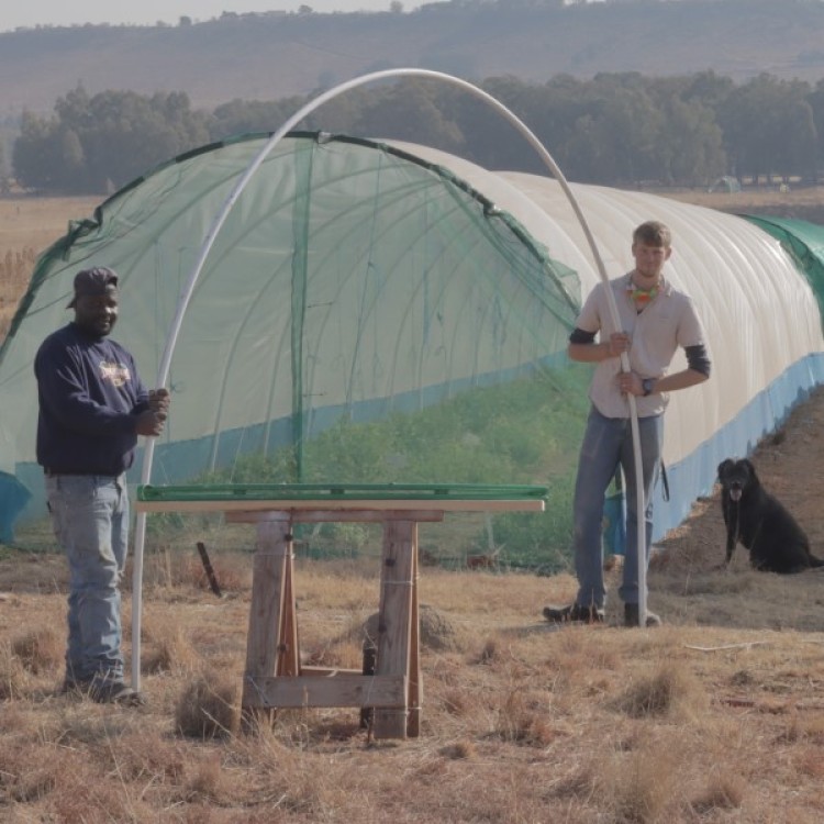 Polytunnel Building 101 Workshop (Online)