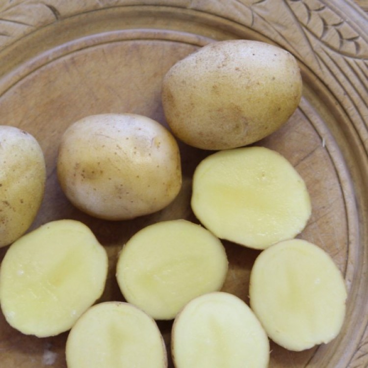 Tyson Seed Potatoes